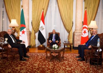 اجتماع وزاري عربي يؤكد وجوب تحقيق التوافق بين كافة الأطراف الليبية