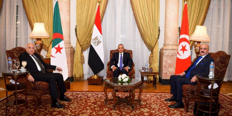 اجتماع وزاري عربي يؤكد وجوب تحقيق التوافق بين كافة الأطراف الليبية