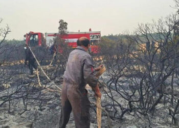 العربي الجديد: حرائق صيفية سنوية في ليبيا بسبب الإهمال الحكومي