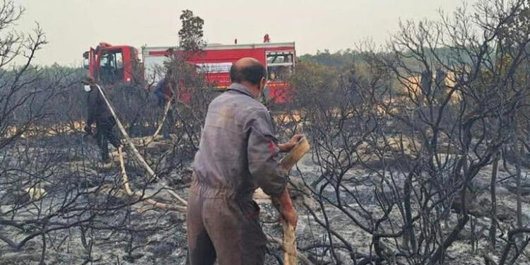 العربي الجديد: حرائق صيفية سنوية في ليبيا بسبب الإهمال الحكومي