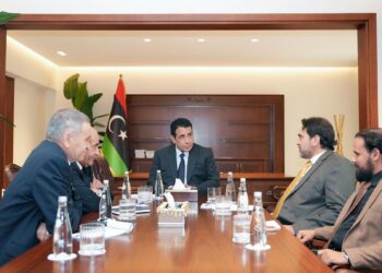 لجنة الخبراء الاقتصاديين المكلفة من المجلس الرئاسي تصدر حزمة توصيات لإصلاح الاقتصاد