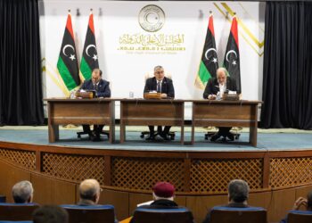 رئيس الحزب الديمقراطي: استمرار رئاسة مجلس الدولة الحالية متناغمة مع الواقع المتردي