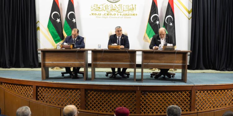 رئيس الحزب الديمقراطي: استمرار رئاسة مجلس الدولة الحالية متناغمة مع الواقع المتردي