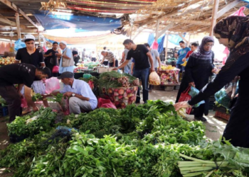 تحقيقات النيابة العامة تكشف: 65% من المنتجات الزراعية في ليبيا ملوثة بمبيدات محظورة ومسرطنة