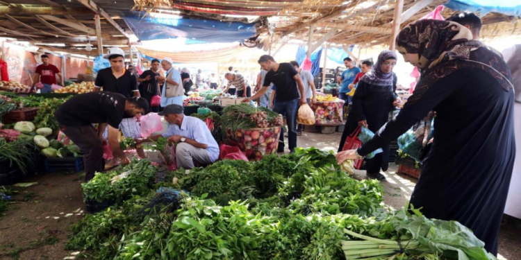 تحقيقات النيابة العامة تكشف: 65% من المنتجات الزراعية في ليبيا ملوثة بمبيدات محظورة ومسرطنة
