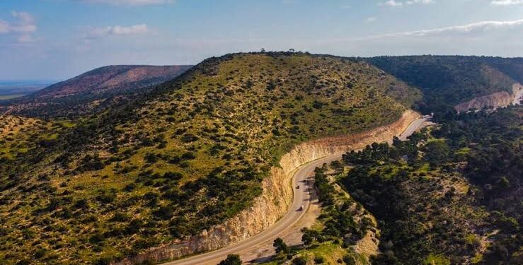 ليبيا تفقد 390 هكتاراً من غطائها الشجري خلال 25 عاماً.. والجبل الأخضر الأكثر تضرراً