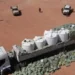 مصدر بالبريقة لـ «أبعاد»: تجفيف التهريب نحو تونس وراء أزمة الوقود بالمنطقة الغربية