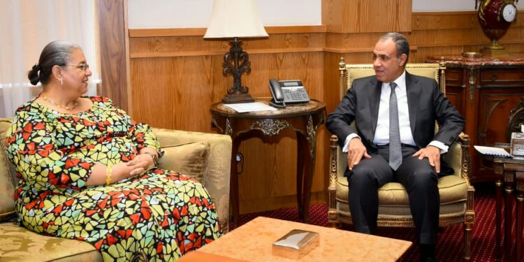 «عبد العاطي» يؤكد للمبعوثة الأممية دعم مصر لتسوية «ليبية – ليبية» وإجراء الانتخابات بالتزامن