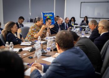 هانا تيته تبحث مع رؤساء مجموعات العمل التابعة لعملية برلين تحسين جهود دعم المسار السياسي