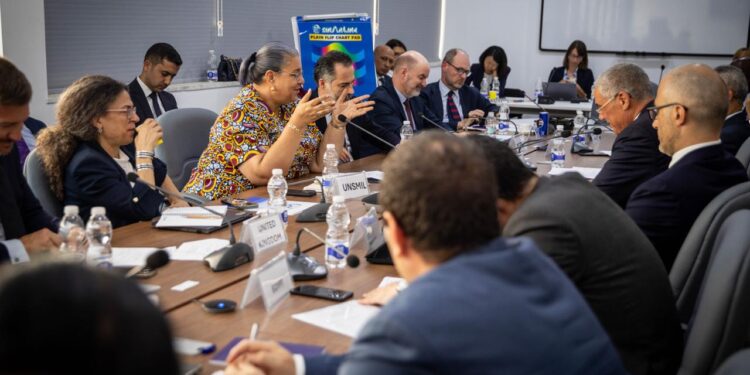 هانا تيته تبحث مع رؤساء مجموعات العمل التابعة لعملية برلين تحسين جهود دعم المسار السياسي