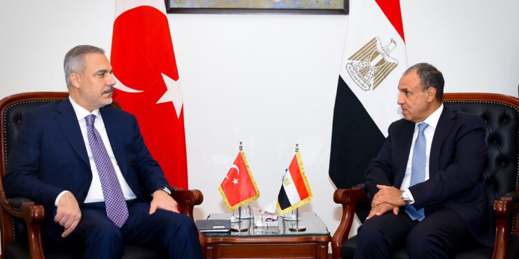 وزيرا الخارجية المصري والتركي يؤكدان دعم توحيد المؤسسات الليبية وإنهاء الانقسام وإجراء انتخابات رئاسية وبرلمانية