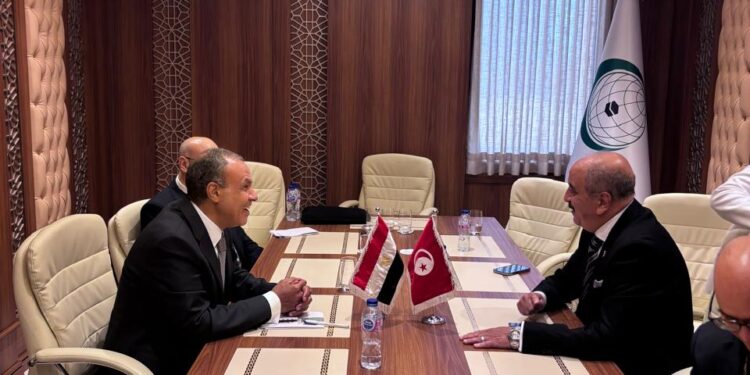 القاهرة ..ترحيب بخارطة طريق تسوية الأزمة الليبية