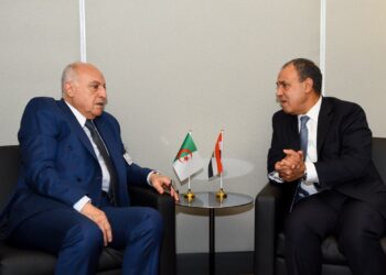 الخارجية المصرية: تأكيد على إجراء الانتخابات الليبية الرئاسية والبرلمانية المتزامنة