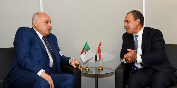 الخارجية المصرية: تأكيد على إجراء الانتخابات الليبية الرئاسية والبرلمانية المتزامنة