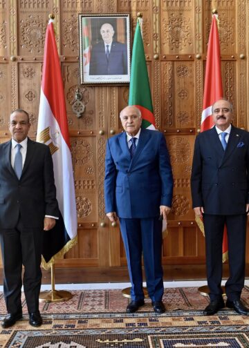 تأكيد دول الجوار على أن الحل السياسي “الليبي الليبي” هو السبيل الوحيد لإنهاء الأزمة