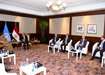 وزير الخارجية المصري يؤكد على دعم خارطة الطريق الأممية لتشكيل حكومة جديدة موحدة وإجراء الانتخابات