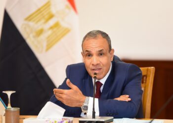 القاهرة.. دعوة لانتخابات متزامنة لحل الأزمة الليبية