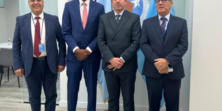 حماية الأرصدة الليبية واستثمارها بشكل آمن وشفاف..ما التفاصيل؟