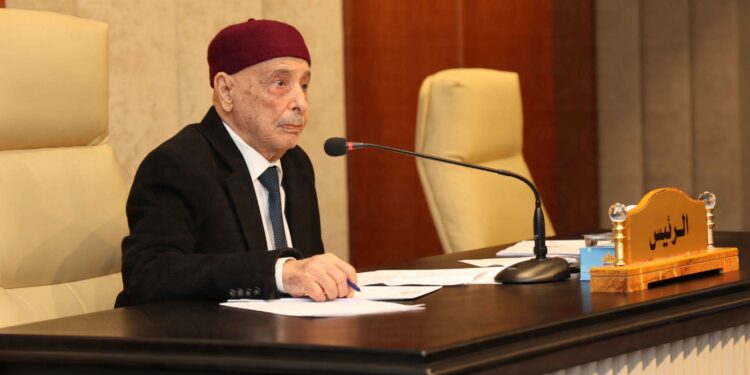 عقيلة: الرقابة على دستورية القوانين أصبحت حاجة ملحّة في ظل كثرة القوانين وتشابكها